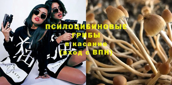 гидра Алзамай