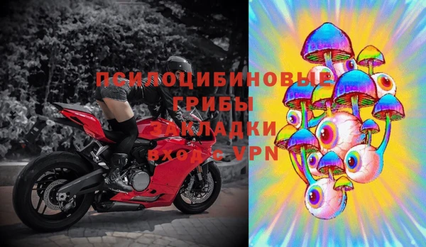 герыч Россошь