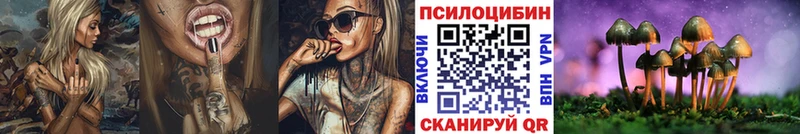 Псилоцибиновые грибы мухоморы  купить наркотик  Зверево 